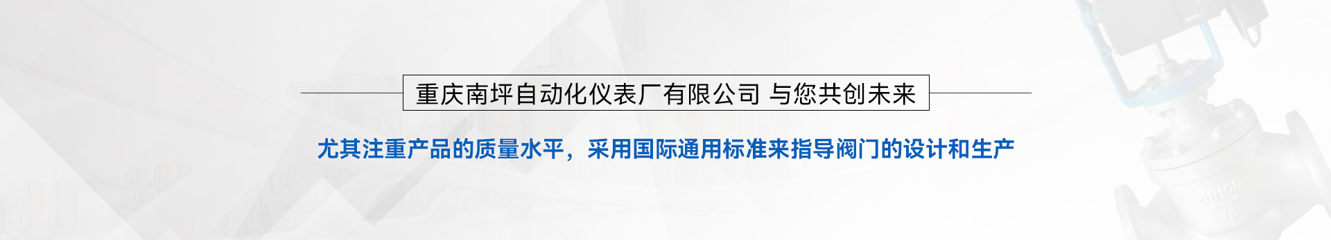重庆南坪自动化仪表厂有限公司