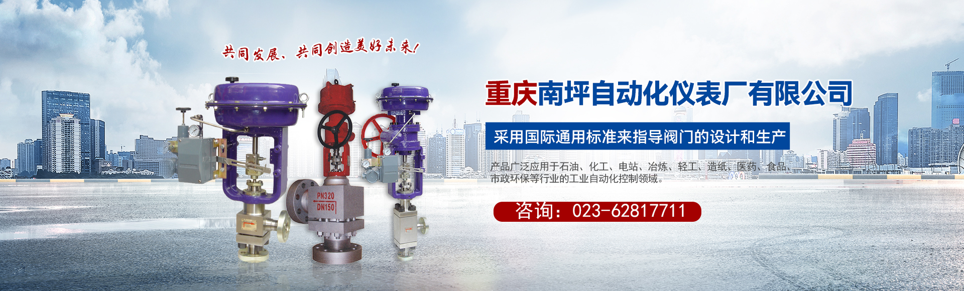 重庆南坪自动化仪表厂有限公司