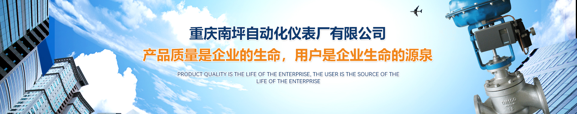 重庆南坪自动化仪表厂有限公司